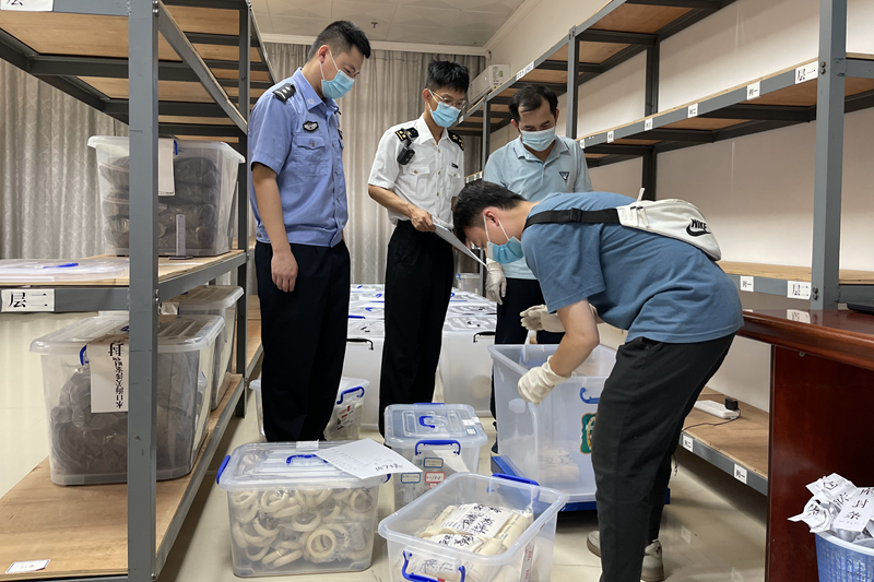 凭祥海关关员与林业部门工作人员清点拟移交的象牙及其制品